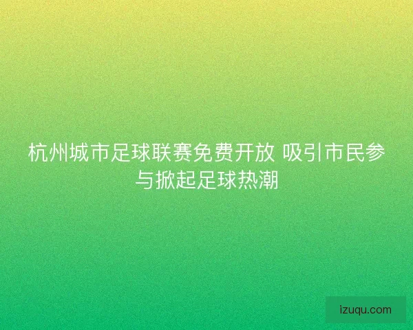 杭州城市足球联赛免费开放 吸引市民参与掀起足球热潮